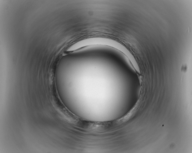 X0000091530174200709141442