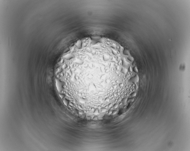 X0000091530175200709141442