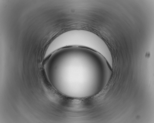 X0000091530176200709141442
