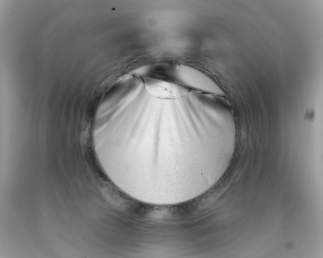 X0000091530177200709141442