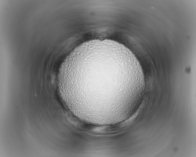 X0000091530178200709141442