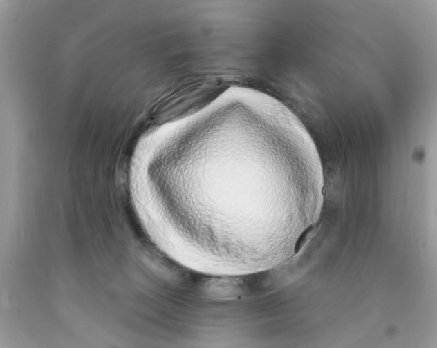 X0000091530179200709141442