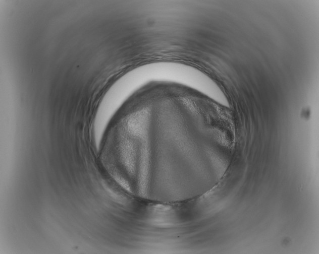 X0000091530180200709141442