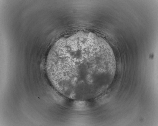 X0000091530181200709141442