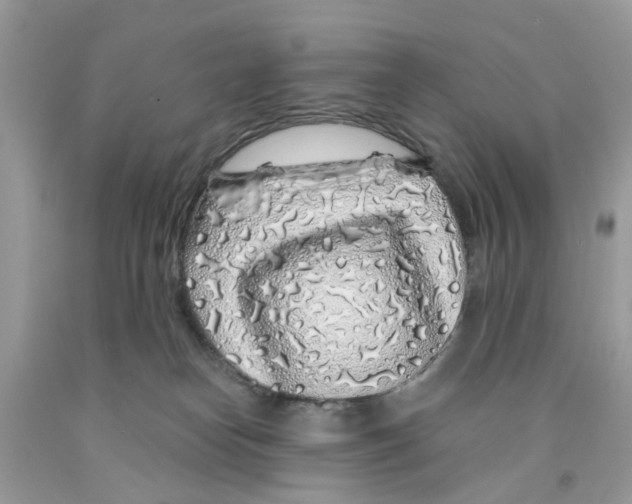 X0000091530182200709141442