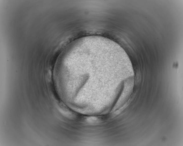 X0000091530183200709141443