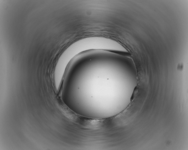 X0000091530184200709141443