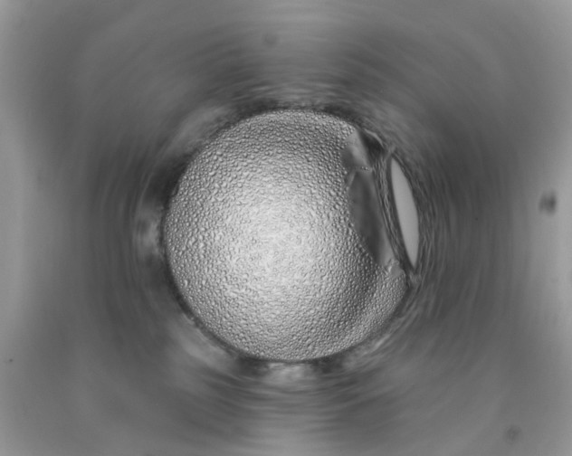 X0000091530185200709141443