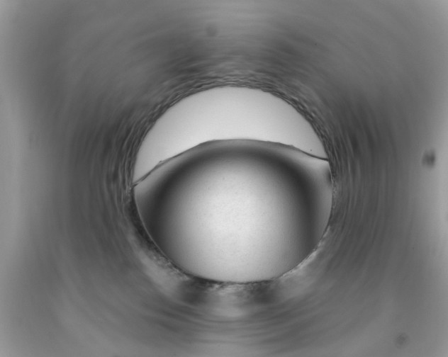 X0000091530186200709141443