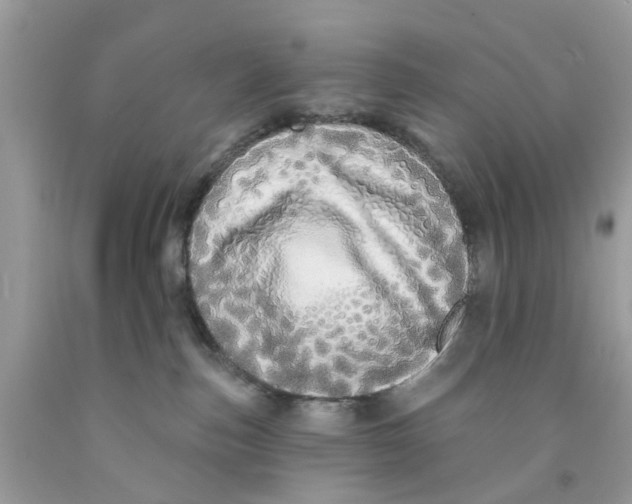 X0000091530187200709141443