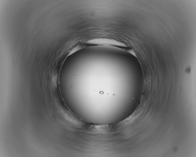 X0000091530188200709141443