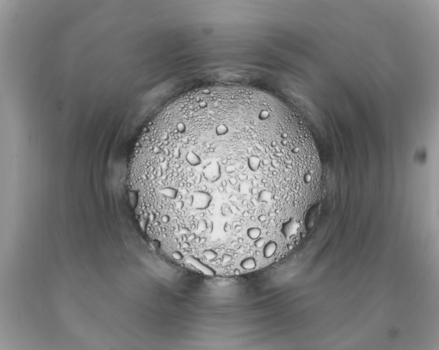 X0000091530189200709141443