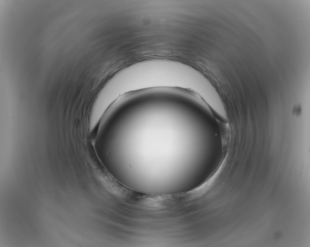 X0000091530190200709141443