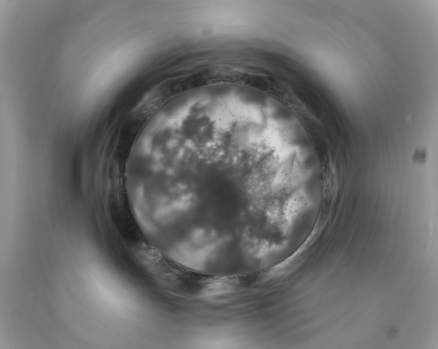 X0000091530191200709141443