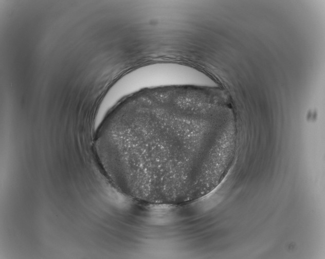 X0000091530192200709141443