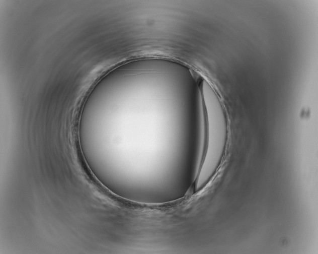 X0000091530193200709141442