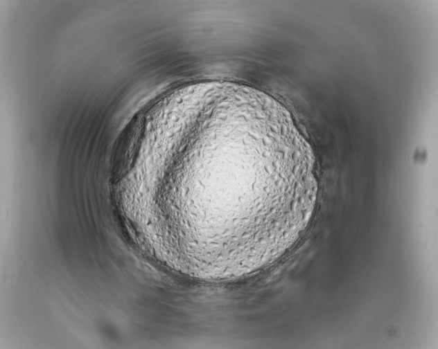 X0000091530194200709141442