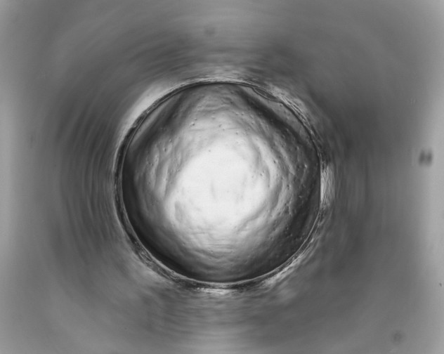 X0000091530195200709141442