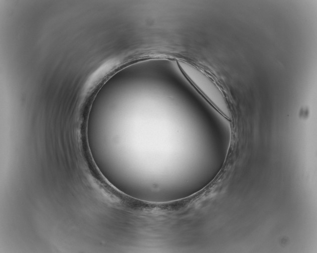 X0000091530197200709141442