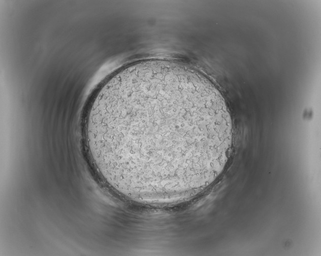 X0000091530198200709141442