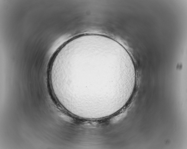 X0000091530199200709141442