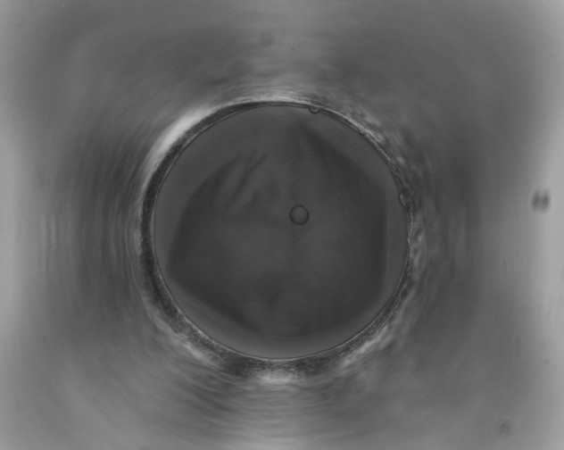 X0000091530200200709141442