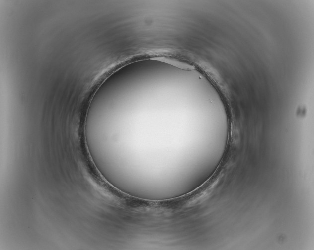 X0000091530201200709141442
