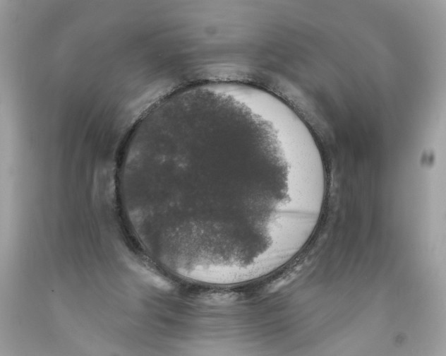 X0000091530202200709141442