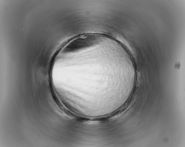 X0000091530203200709141442