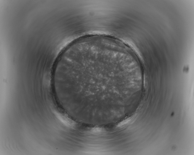 X0000091530204200709141442