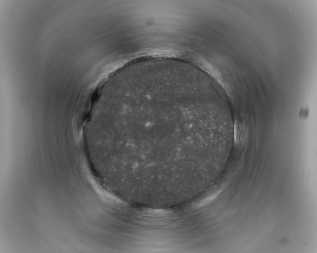 X0000091530205200709141442