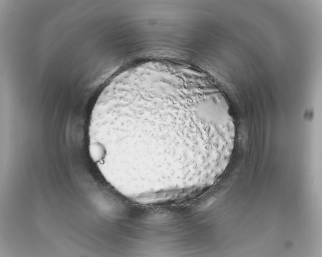 X0000091530206200709141442