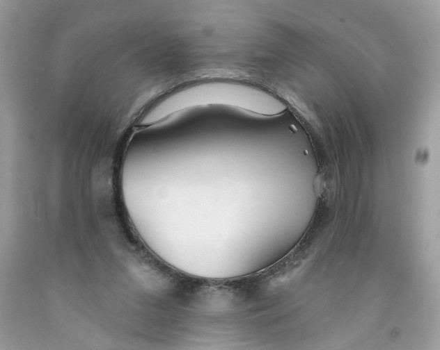 X0000091530207200709141442