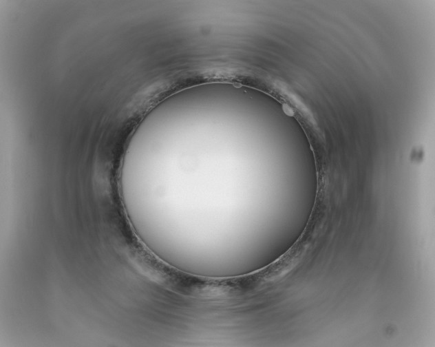 X0000091530209200709141442