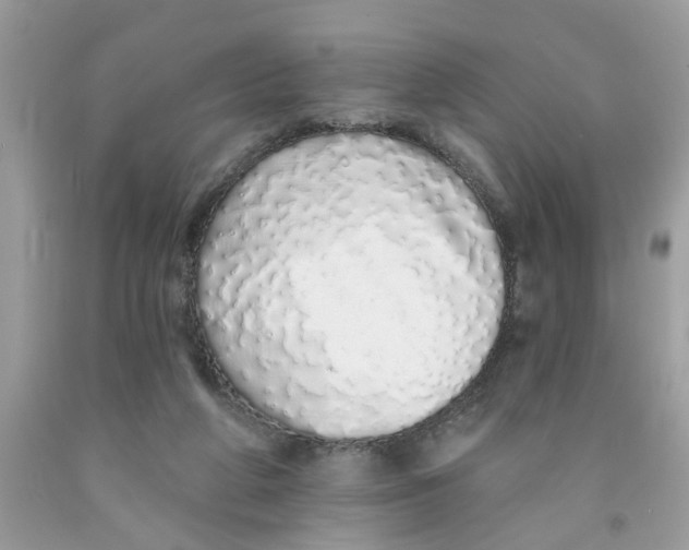 X0000091530210200709141442