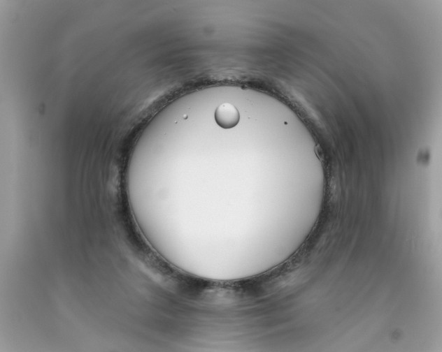 X0000091530211200709141442