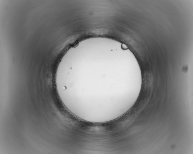 X0000091530212200709141442