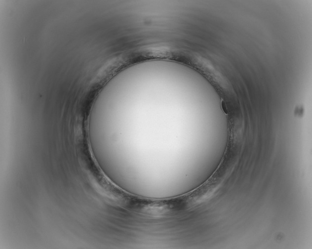 X0000091530213200709141442