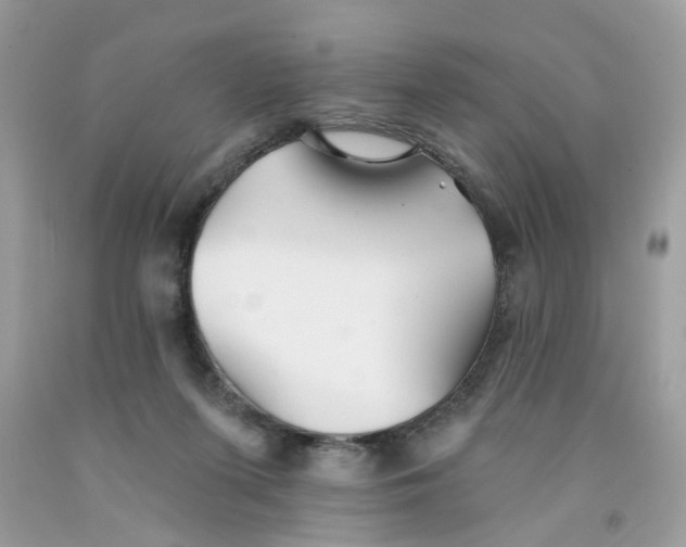 X0000091530215200709141442