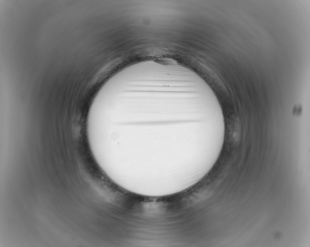 X0000091530216200709141442