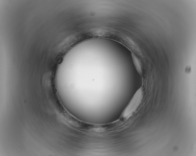 X0000091530217200709141442