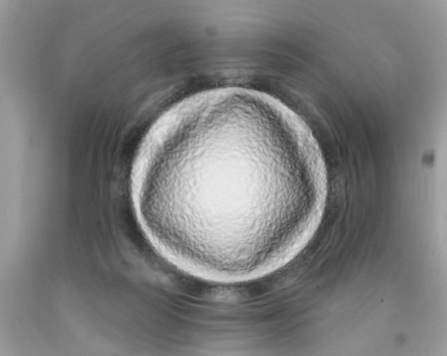 X0000091530218200709141442