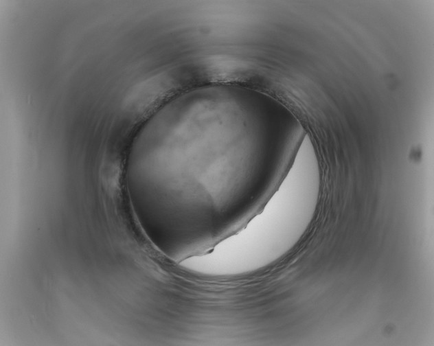 X0000091530219200709141442
