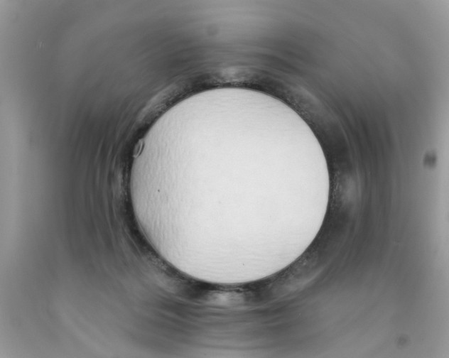 X0000091530220200709141442
