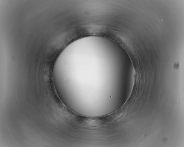 X0000091530221200709141442