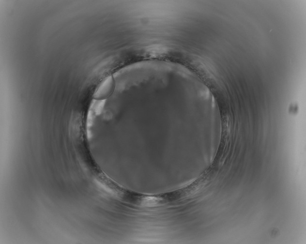 X0000091530222200709141442
