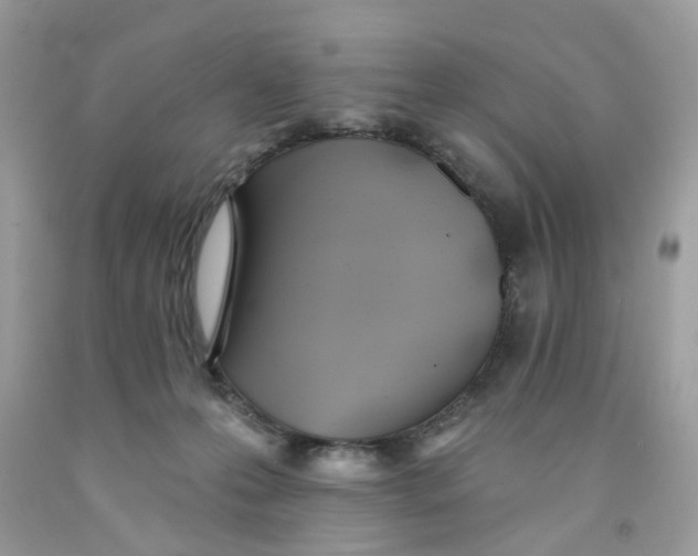 X0000091530223200709141442