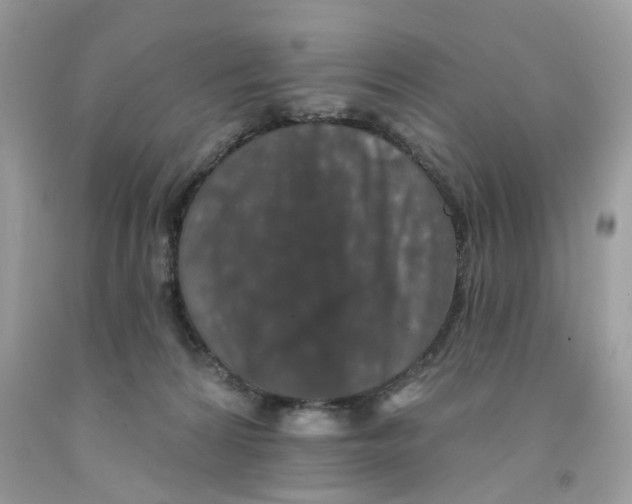 X0000091530224200709141442