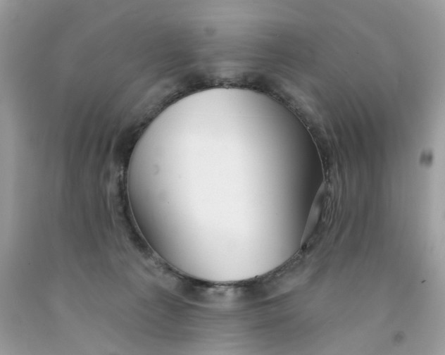 X0000091530225200709141442