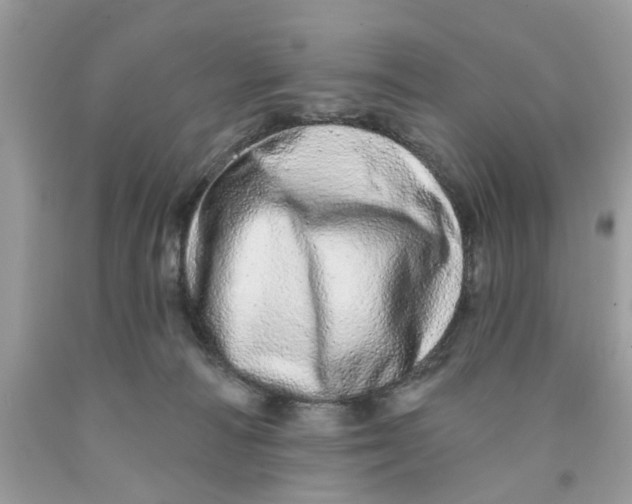 X0000091530226200709141442